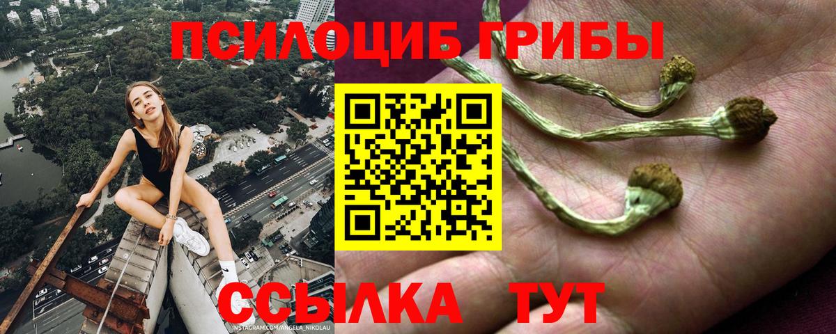 Псилоцибиновые грибы прущие грибы  Вход с VPN  Белая Калитва  Псилоцибиновые грибы MAGIC MUSHROOMS 